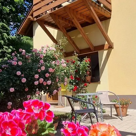 Wieczorek Goscinne Caloroczne Jacuzzi Ogrodowe Séjour chez l'habitant Szczyrk