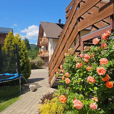 Wieczorek Goscinne Caloroczne Jacuzzi Ogrodowe