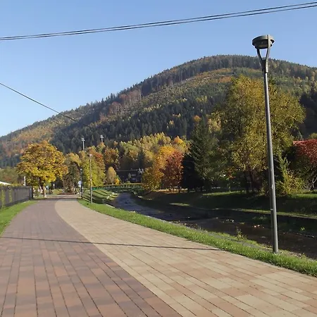 Wieczorek Goscinne Caloroczne Jacuzzi Ogrodowe Séjour chez l'habitant Szczyrk
