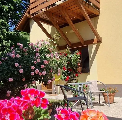 Wieczorek Goscinne Caloroczne Jacuzzi Ogrodowe Homestay szállás Szczyrk